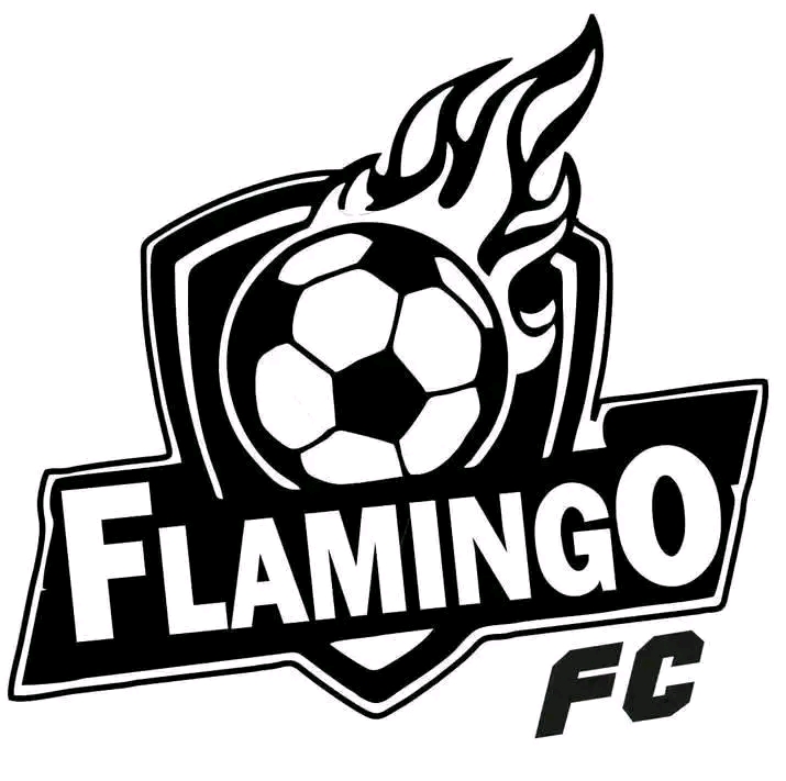 Flamingo  fc