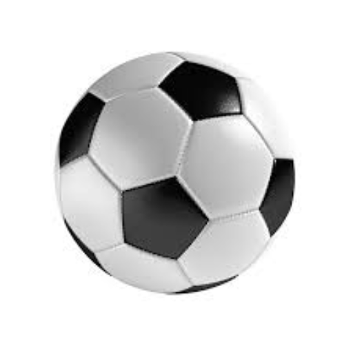 Starshine fc