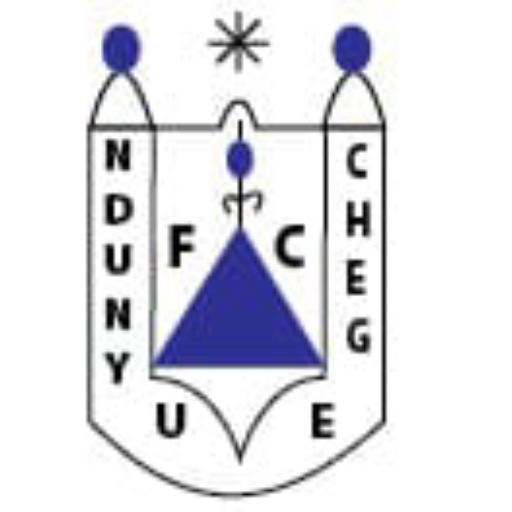Ndunyu chege fc