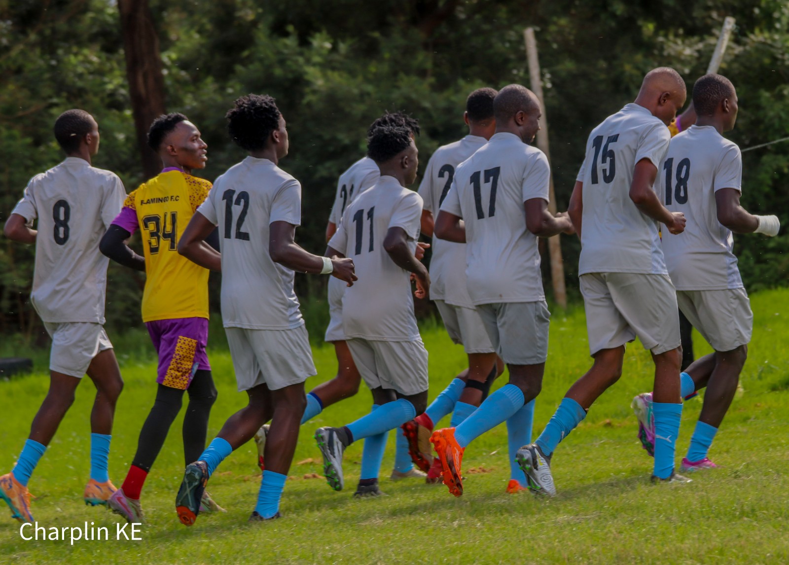 Flamingo  fc photo