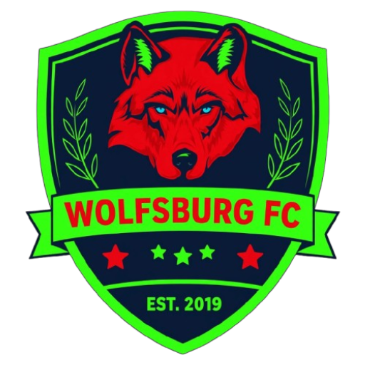 wolfsburg soccer academy
